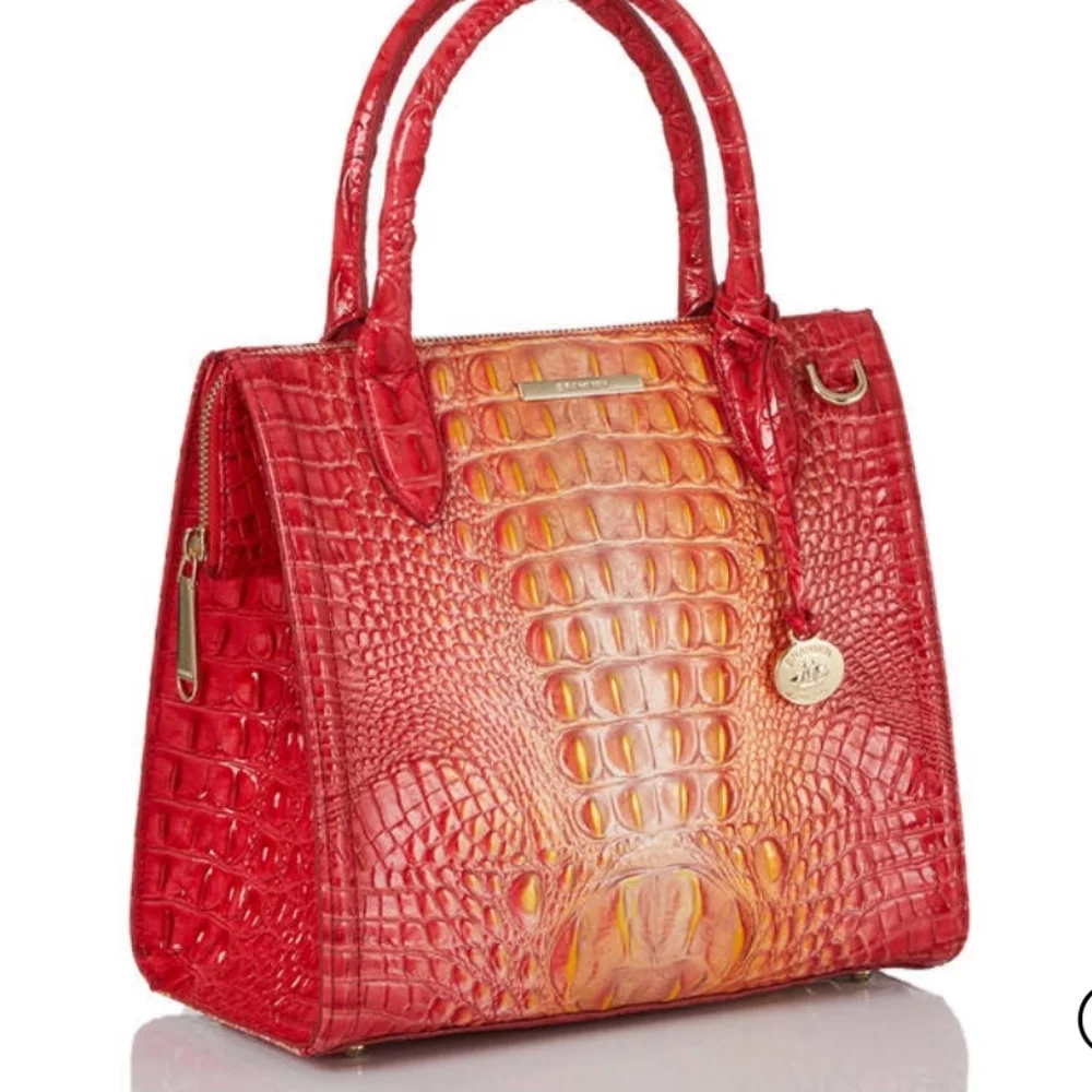 NWT🌺 Brahmin Small Caroline Infusion Ombre Melbourne Leather bag